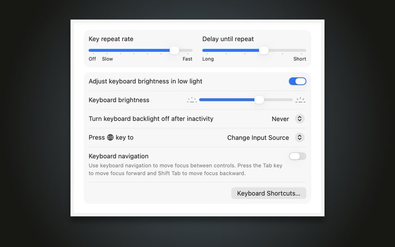 Mac screen showing Keyboard settings